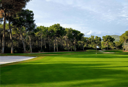 T Golf & Country Club
