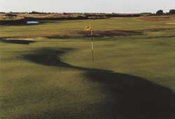 Falsterbo Golfklubb