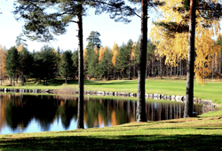Nordcenter - Fream Course