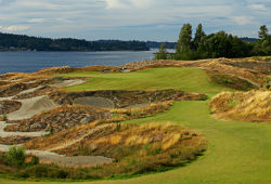 Chambers Bay Golf