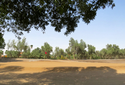 Ain Nakhl Golf Club