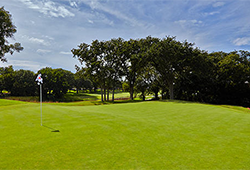 Oak Tree Country Club